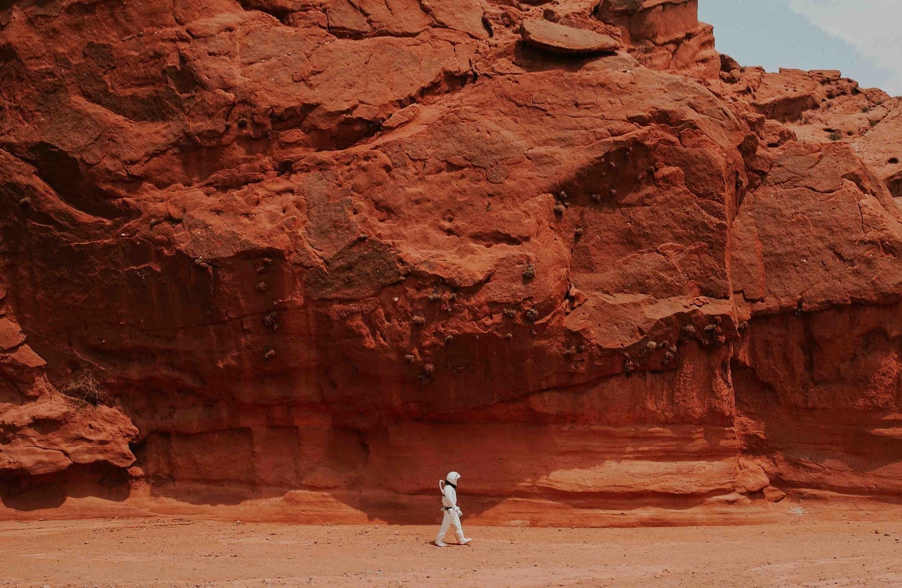 Working From Home, Going To Mars And The Enterprise Crew